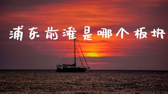 浦东前滩是哪个板块_https://www.apanben.com_期货学院_第1张