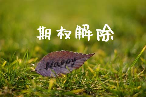 期权解除_https://www.apanben.com_财经资讯_第1张