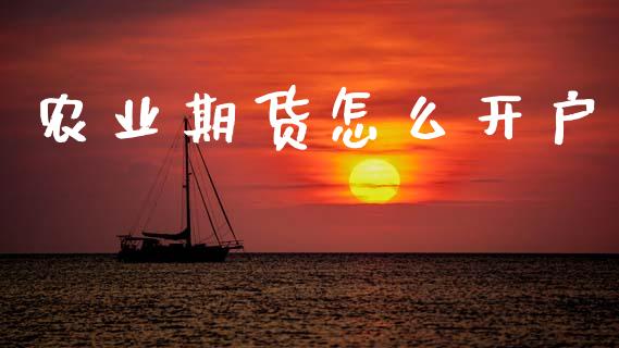 农业期货怎么开户_https://www.apanben.com_股票怎么玩_第1张