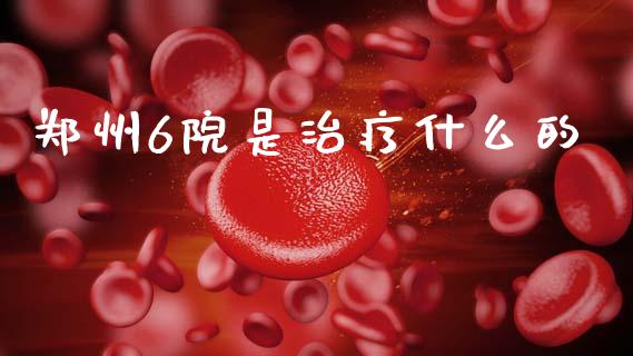 郑州6院是治疗什么的_https://www.apanben.com_期货学院_第1张