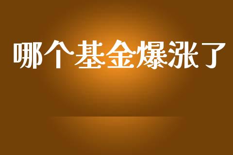 哪个基金爆涨了_https://www.apanben.com_国际财经_第1张