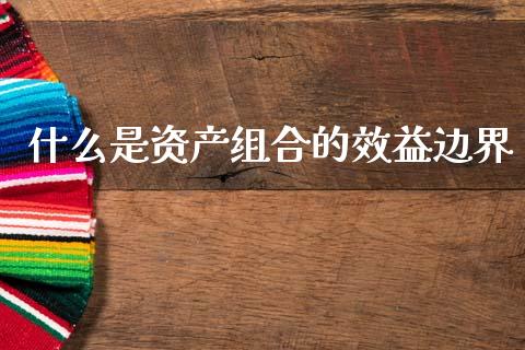 什么是资产组合的效益边界_https://www.apanben.com_国际财经_第1张