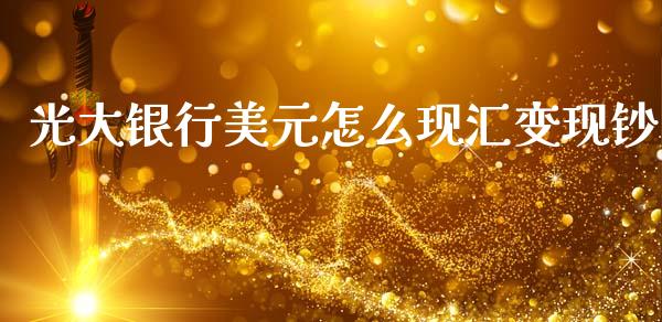 光大银行美元怎么现汇变现钞_https://www.apanben.com_股市指导_第1张