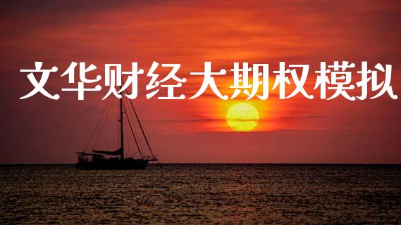 文华财经大期权模拟_https://www.apanben.com_国际期货_第1张