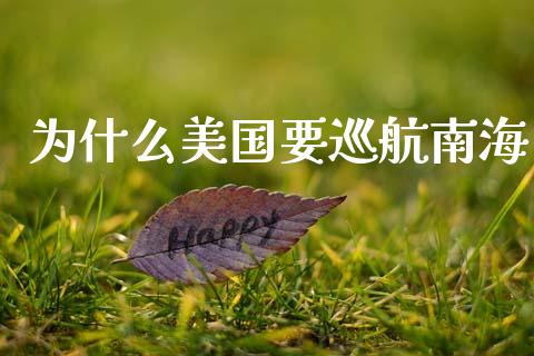 为什么美国要巡航南海_https://www.apanben.com_国际财经_第1张