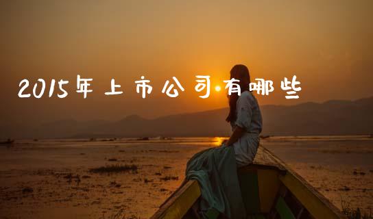 2015年上市公司有哪些_https://www.apanben.com_期货学院_第1张