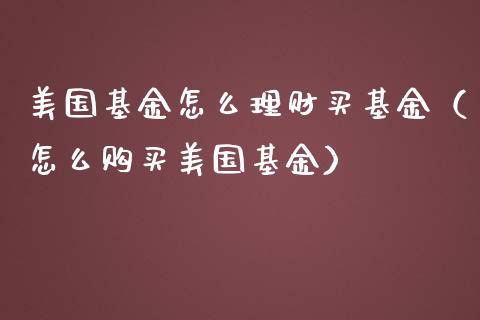 美国基金怎么理财买基金（怎么购买美国基金）_https://www.apanben.com_财经资讯_第1张