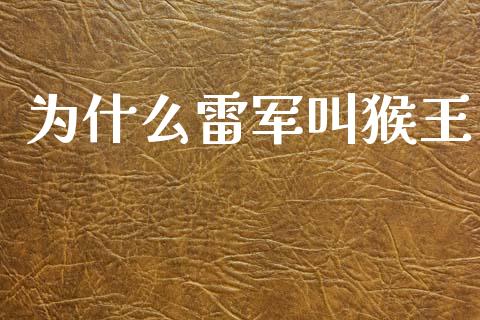 为什么雷军叫猴王_https://www.apanben.com_国际财经_第1张