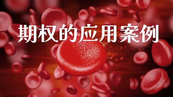 期权的应用案例_https://www.apanben.com_国际财经_第1张