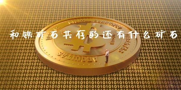 和铁矿石共存的还有什么矿石_https://www.apanben.com_国际期货_第1张