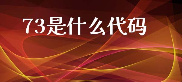 73是什么代码_https://www.apanben.com_国际财经_第1张