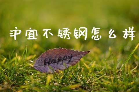 沪宜不锈钢怎么样_https://www.apanben.com_在线喊单_第1张