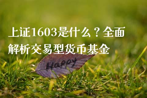 上证1603是什么？全面解析交易型货币基金_https://www.apanben.com_国际财经_第1张