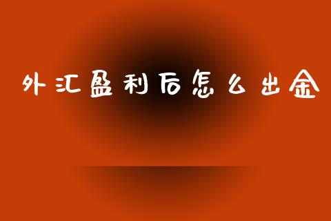 外汇盈利后怎么出金_https://www.apanben.com_国际期货_第1张