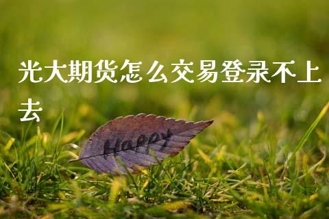 光大期货怎么交易登录不上去_https://www.apanben.com_国际财经_第1张