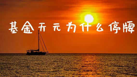 基金天元为什么停牌_https://www.apanben.com_国际期货_第1张