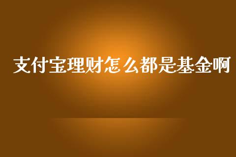 支付宝理财怎么都是基金啊_https://www.apanben.com_财经资讯_第1张