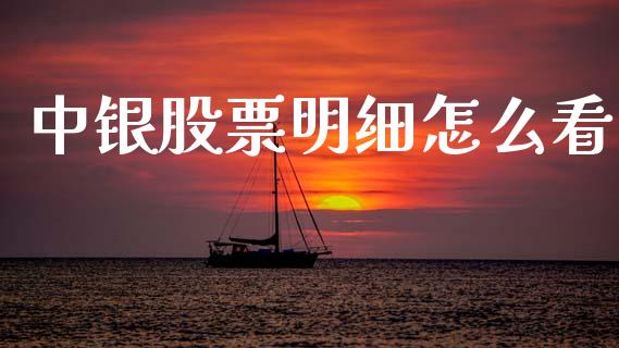 中银股票明细怎么看_https://www.apanben.com_期货学院_第1张