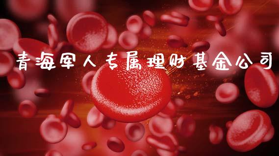 青海军人专属理财基金公司_https://www.apanben.com_国际财经_第1张