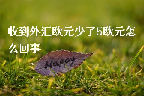 收到外汇欧元少了5欧元怎么回事_https://www.apanben.com_国际财经_第1张