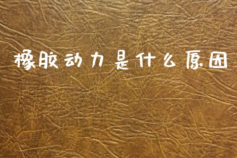 橡胶动力是什么原因_https://www.apanben.com_股票怎么玩_第1张