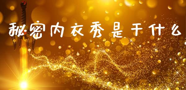 秘密内衣秀是干什么_https://www.apanben.com_国际财经_第1张