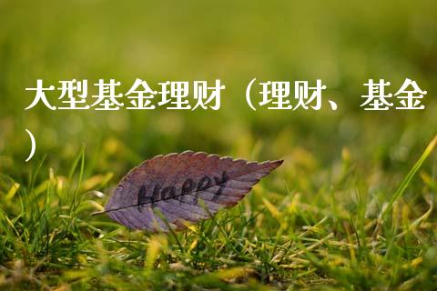 大型基金理财（理财、基金）_https://www.apanben.com_国际财经_第1张