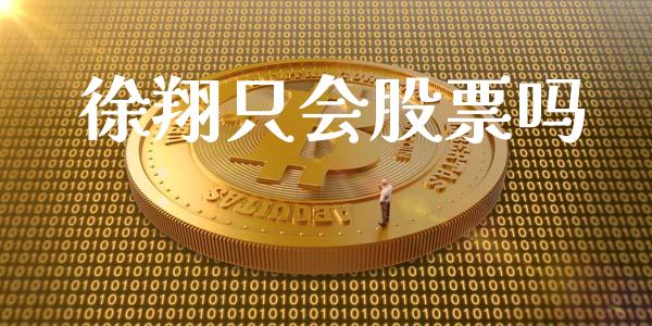 徐翔只会股票吗_https://www.apanben.com_在线喊单_第1张