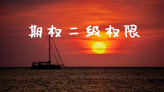 期权二级权限_https://www.apanben.com_国际财经_第1张