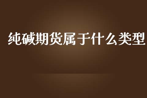 纯碱期货属于什么类型_国际期货_第1张_安贝财经网 纯碱期货属于什么类型_https://www.apanben.com_国际期货_第1张