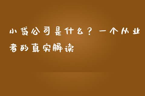 小贷公司是什么？一个从业者的真实解读_https://www.apanben.com_在线喊单_第1张