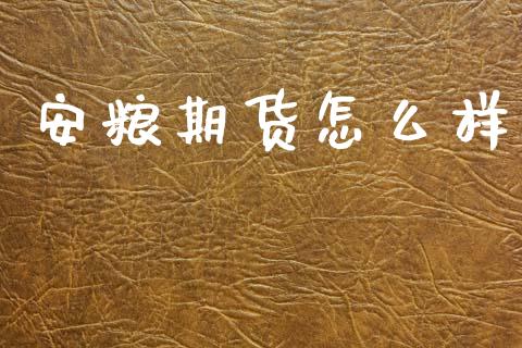 安粮期货怎么样_https://www.apanben.com_国际财经_第1张