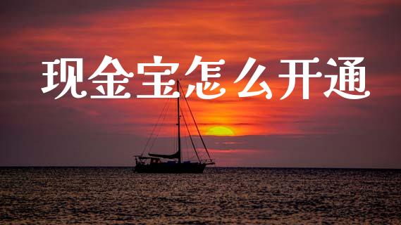 现金宝怎么开通_https://www.apanben.com_期货学院_第1张
