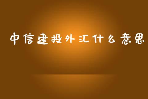 中信建投外汇什么意思_https://www.apanben.com_股市指导_第1张