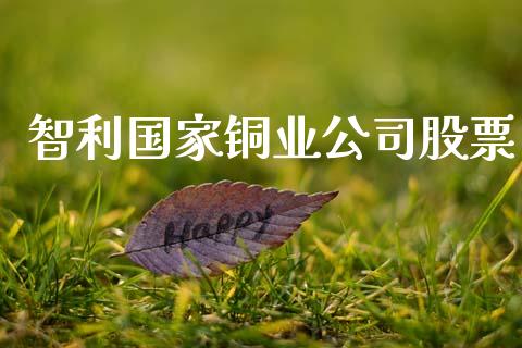 智利国家铜业公司股票_https://www.apanben.com_在线喊单_第1张