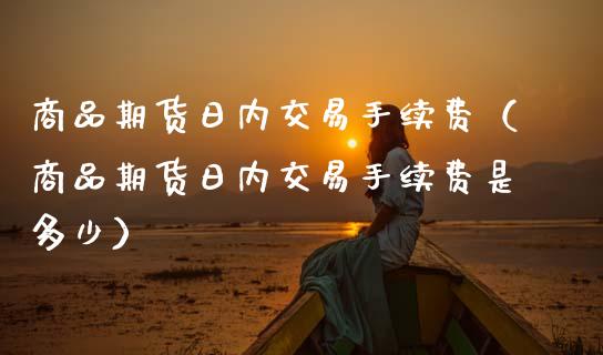 商品期货日内交易手续费（商品期货日内交易手续费是多少）_https://www.apanben.com_期货学院_第1张