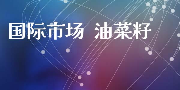 国际市场  油菜籽_https://www.apanben.com_国际财经_第1张