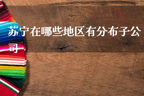 苏宁在哪些地区有分布子公司_https://www.apanben.com_股市指导_第1张