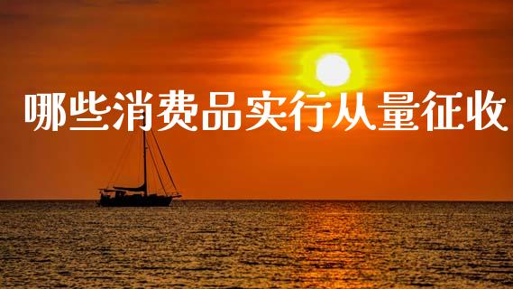 哪些消费品实行从量征收_https://www.apanben.com_国际期货_第1张