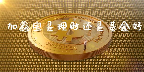 加鑫宝是理财还是基金好_https://www.apanben.com_国际财经_第1张