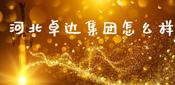 河北卓达集团怎么样_https://www.apanben.com_国际财经_第1张