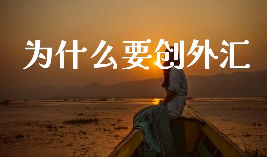 为什么要创外汇_https://www.apanben.com_股市指导_第1张