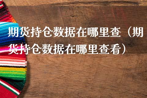 期货持仓数据在哪里查（期货持仓数据在哪里查看）_https://www.apanben.com_期货学院_第1张