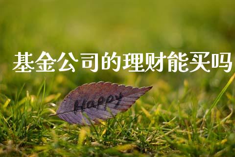 基金公司的理财能买吗_https://www.apanben.com_国际财经_第1张