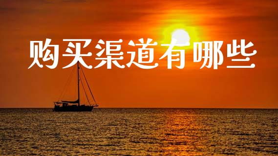 购买渠道有哪些_https://www.apanben.com_期货学院_第1张