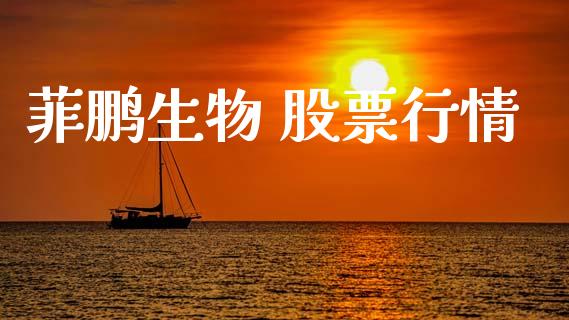 菲鹏生物 股票行情_https://www.apanben.com_股票怎么玩_第1张