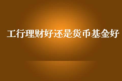 工行理财好还是货币基金好_https://www.apanben.com_国际财经_第1张