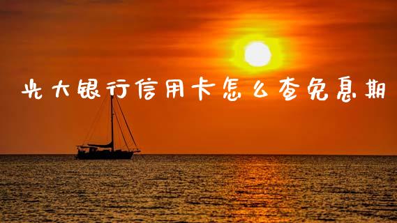 光大银行信用卡怎么查免息期_https://www.apanben.com_财经资讯_第1张