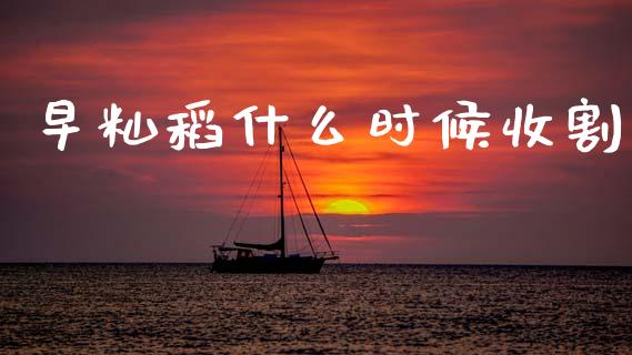 早籼稻什么时候收割_https://www.apanben.com_国际财经_第1张
