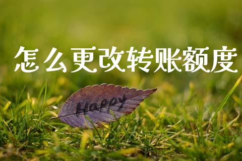 怎么更改转账额度_https://www.apanben.com_股市分析_第1张